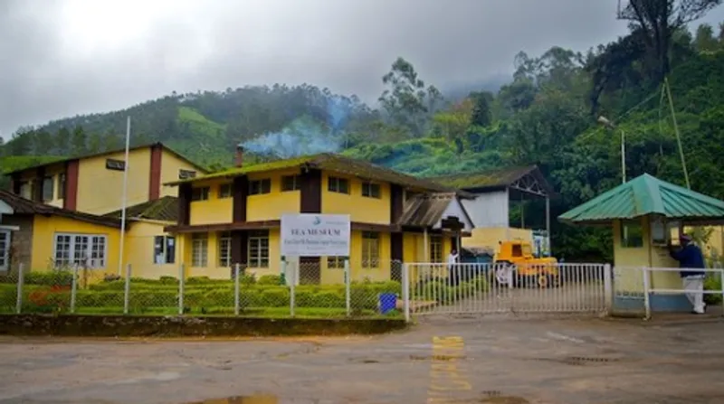 image image
