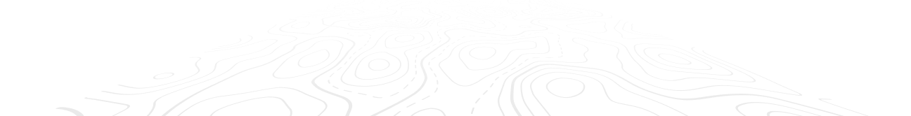 background line svg